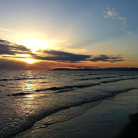 I 4 Assi Viareggio